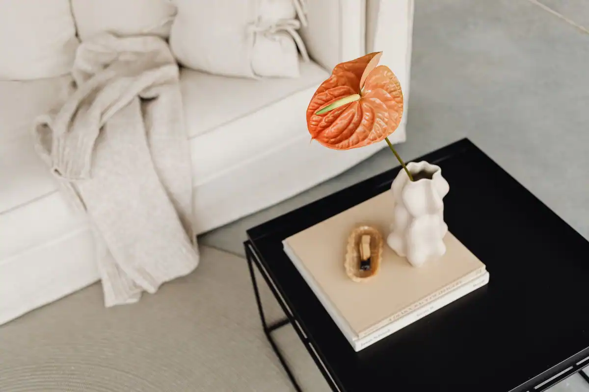 Măsuță de cafea minimalistă cu o vază sculptată și o floare roșie