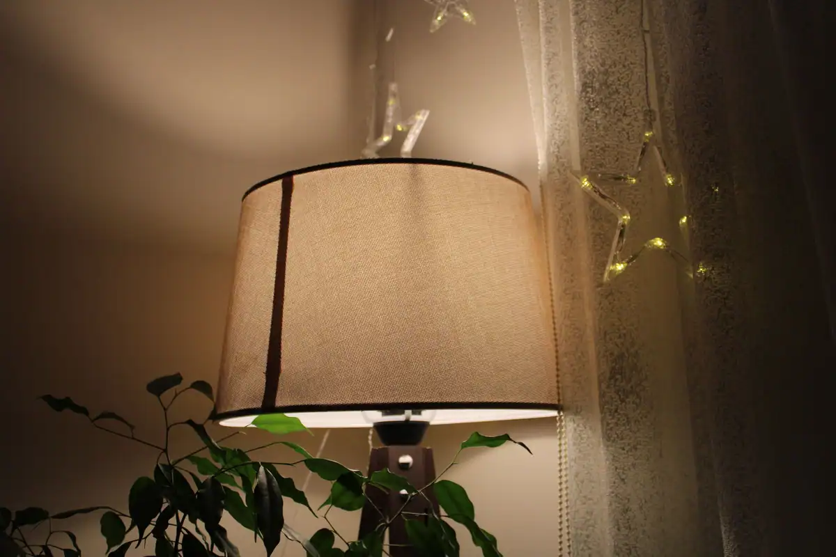Veioză cu lumină caldă, instalație de lumini și plantă verde